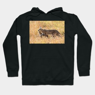 Serval Cat & Kitten, Serengeti, Tanzania Hoodie